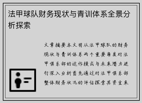 法甲球队财务现状与青训体系全景分析探索